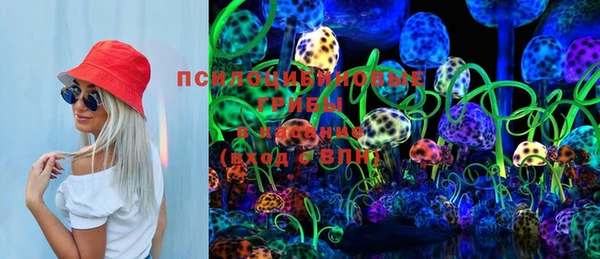 соль ск Новокубанск